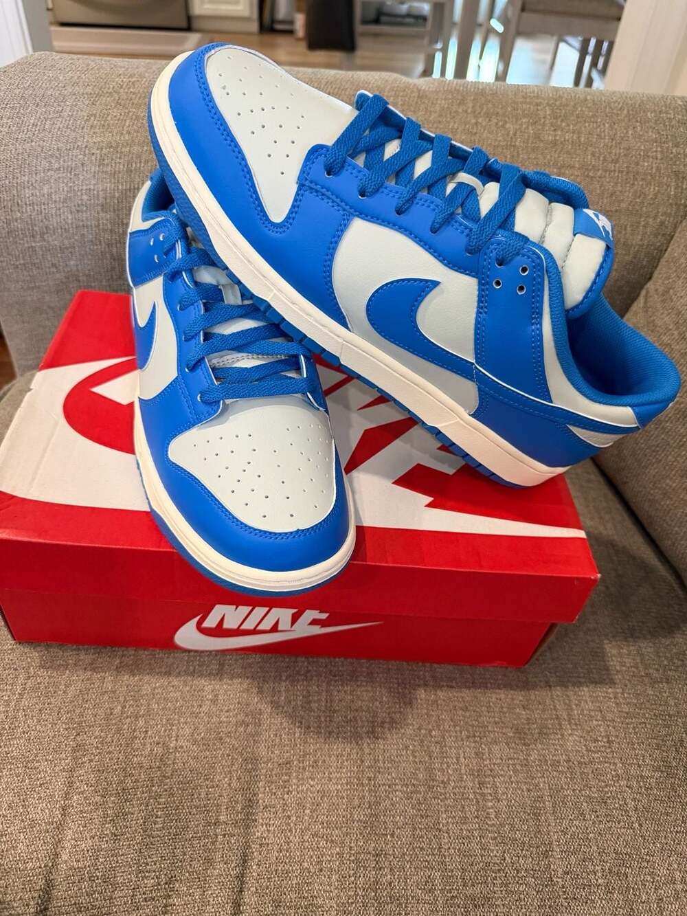 Nike Dunk Low Retro Light Silver LT Photo Blue HF5441-002